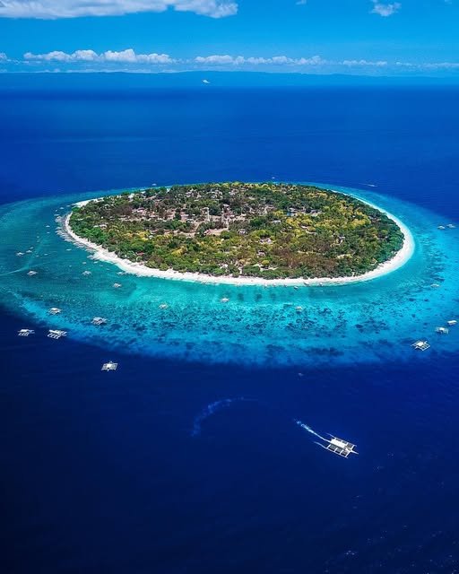 2. Balicasag Island_ A Marine Wonderland_